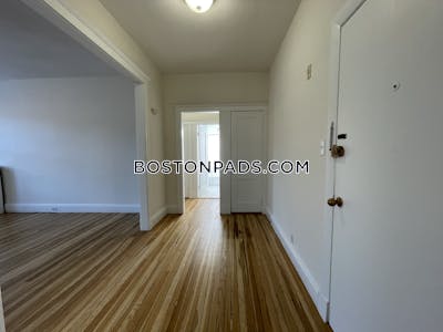 Brighton Apartment for rent 2 Bedrooms 1 Bath Boston - $3,290 No Fee