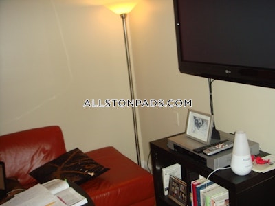 Allston Apartment for rent 1 Bedroom 1 Bath Boston - $2,500 No Fee