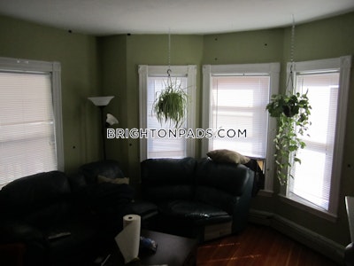 Brighton 2 Beds 1 Bath Boston - $2,800