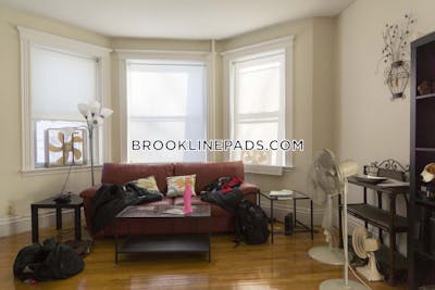 Brookline Apartment for rent 2 Bedrooms 1 Bath Boston University - $3,250