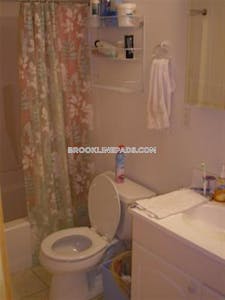 Brookline Beautiful 4 Beds 2 Baths in Brookline Cleveland Circle - $4,500