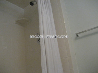 Brookline 0 Bed 1 Bath BROOKLINE- WASHINGTON SQUARE $2,150  Washington Square - $2,100