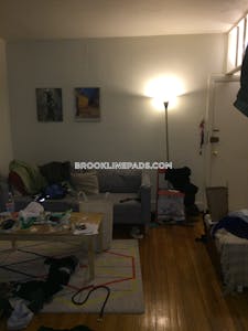 Brookline Apartment for rent 1 Bedroom 1 Bath  Washington Square - $2,350 No Fee