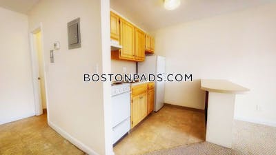 Cambridge 1 Bed 1 Bath  Mt. Auburn/brattle/ Fresh Pond - $2,450 No Fee