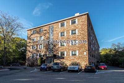 Cambridge 2 Bed 1 Bath CAMBRIDGE Mt. Auburn/brattle/ Fresh Pond - $2,450 No Fee