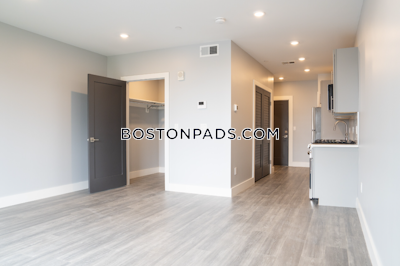 Brighton 0 Bed 1 Bath BOSTON Boston - $2,700 No Fee