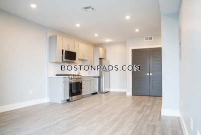 Brighton 1 Bed 1 Bath BOSTON Boston - $3,200 No Fee