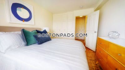 Brookline 1 Bed 1 Bath BROOKLINE- BOSTON UNIVERSITY $3,100 Boston University - $3,100 No Fee