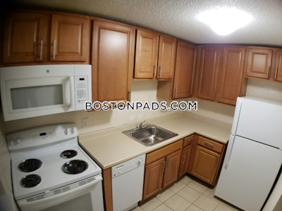 Cambridge 2 Bed 1 Bath CAMBRIDGE  Mt. Auburn/brattle/ Fresh Pond - $2,900