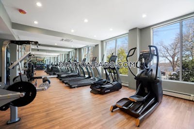 Cambridge 2 Bed 1 Bath CAMBRIDGE  Mt. Auburn/brattle/ Fresh Pond - $3,465