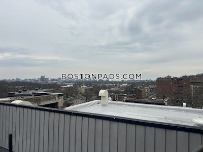 Brighton 1 Bed 1 Bath BOSTON Boston - $2,400 No Fee