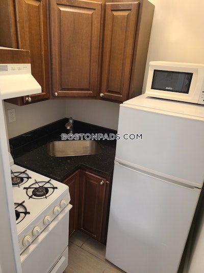 Northeastern/symphony 1 Bed 1 Bath Boston - $2,500
