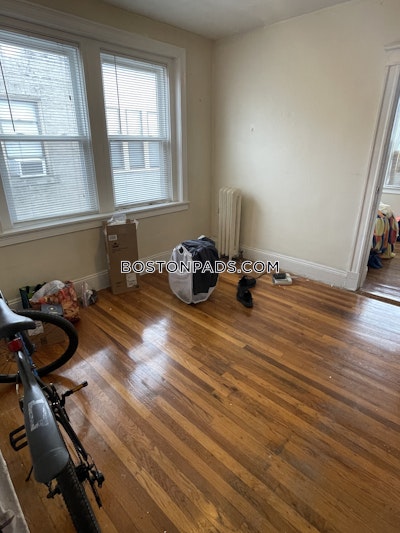 Allston/brighton Border 2.5 Beds 1 Bath Boston - $2,995