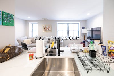 South End 1 Bed 1 Bath BOSTON Boston - $3,250