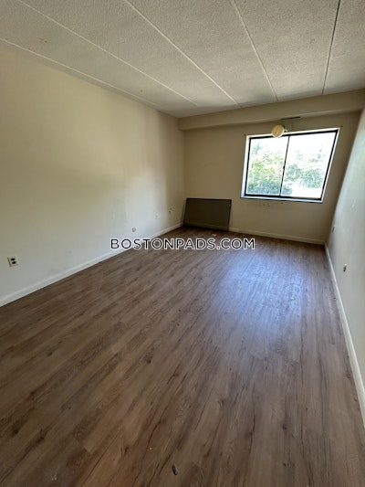 Cambridge 2 Bed 1 Bath CAMBRIDGE  Mt. Auburn/brattle/ Fresh Pond - $2,950