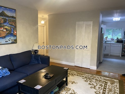 Brighton 2 Beds 1 Bath Boston - $3,000