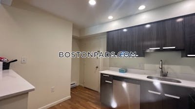 Newton Studio 1 Bath  Chestnut Hill - $2,500