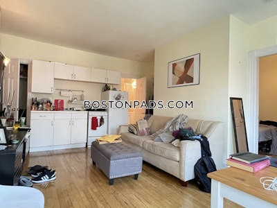 Back Bay 1 Bed 1 Bath BOSTON Boston - $3,000