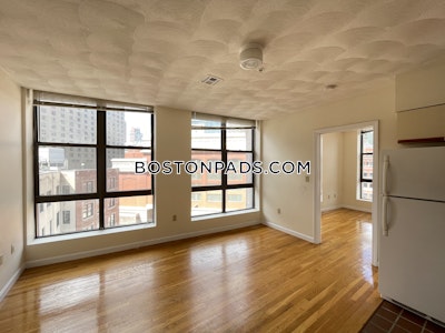 Downtown 1 Bed 1 Bath BOSTON Boston - $3,000 No Fee