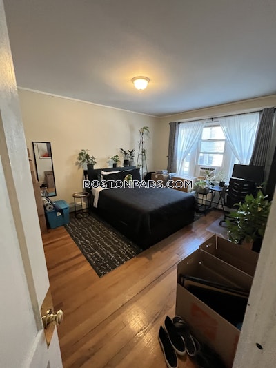 Brighton 3 Beds 2 Baths Boston - $4,500