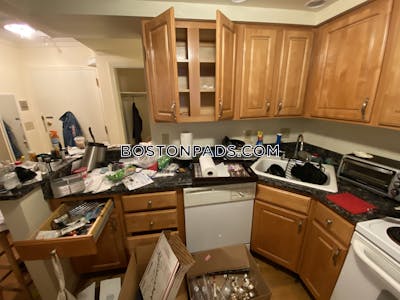 Brookline Studio 1 Bath  Chestnut Hill - $2,500