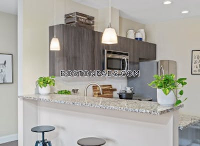 South Boston 1 Bed 1 Bath Boston - $4,750