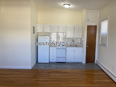 Brighton 1 Bed 1 Bath BOSTON Boston - $2,500 No Fee