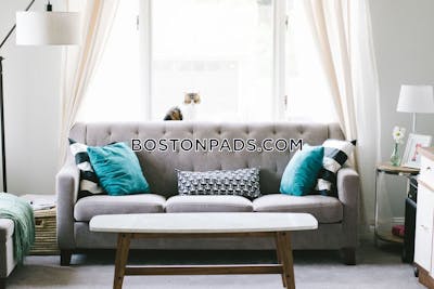 Allston/brighton Border 2 Beds 1 Bath Boston - $2,800 No Fee