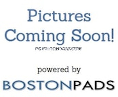 Brighton Apartment for rent 1 Bedroom 1 Bath Boston - $2,500 No Fee