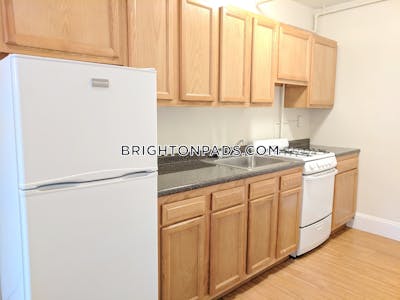 Brighton Apartment for rent 1 Bedroom 1 Bath Boston - $2,325 No Fee