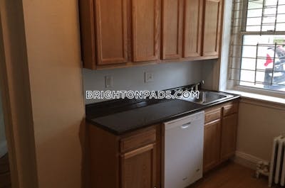 Brighton Apartment for rent 1 Bedroom 1 Bath Boston - $2,545 No Fee