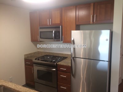 Dorchester Apartment for rent 1 Bedroom 1 Bath Boston - $2,723 No Fee