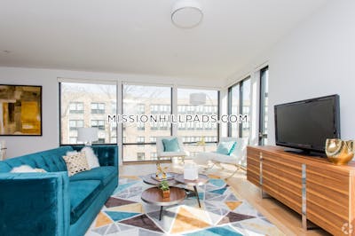 Mission Hill Beautiful 1 Bed 1 Bath on Tremont Street in Mission Hill Boston - $3,653