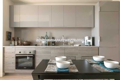 South End Apartment for rent Studio 1 Bath Boston - $3,230 No Fee