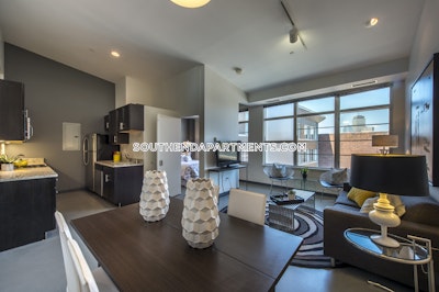 South End 2 Beds South End Boston - $4,375 No Fee