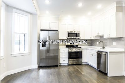 Allston Apartment for rent 3 Bedrooms 2.5 Baths Boston - $5,395 No Fee