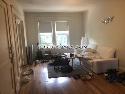 Brighton Apartment for rent 3 Bedrooms 1 Bath Boston - $3,695 No Fee