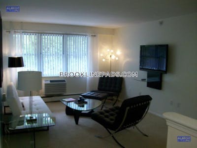 Brookline Apartment for rent 1 Bedroom 1 Bath  Boston University - $3,100 No Fee
