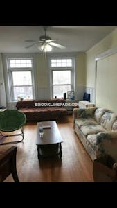 Brookline Amazing 4 Beds 2 Baths in Brookline Cleveland Circle - $4,150