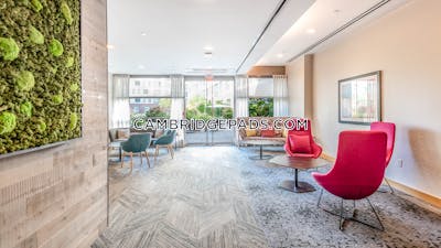 Cambridge Apartment for rent 1 Bedroom 1 Bath  Kendall Square - $4,225