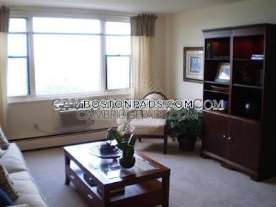 Cambridge Apartment for rent 3 Bedrooms 1.5 Baths  Mt. Auburn/brattle/ Fresh Pond - $3,910
