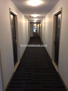 Cambridge Apartment for rent 1 Bedroom 1 Bath Mt. Auburn/brattle/ Fresh Pond - $2,700 No Fee