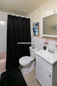 Cambridge Apartment for rent Studio 1 Bath  Davis Square - $2,300