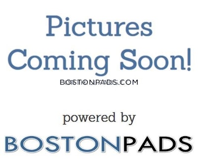 Allston Apartment for rent 3 Bedrooms 2 Baths Boston - $4,100