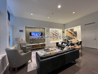 Downtown Apartment for rent 1 Bedroom 1 Bath Boston - $5,050 No Fee