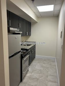 Chinatown Apartment for rent 1 Bedroom 1 Bath Boston - $3,150 No Fee