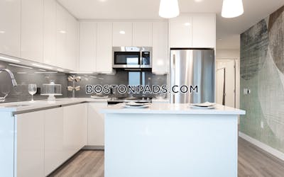 West End Apartment for rent 2 Bedrooms 2 Baths Boston - $10,526