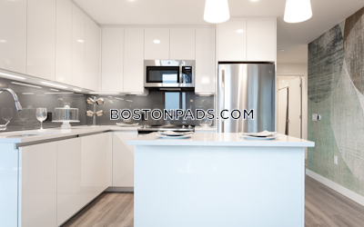 West End Apartment for rent 2 Bedrooms 2 Baths Boston - $10,526