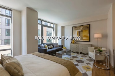 West End Apartment for rent 2 Bedrooms 1 Bath Boston - $5,890