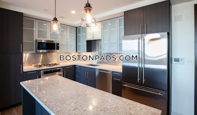 West End 1 bedroom  Luxury in BOSTON Boston - $4,195